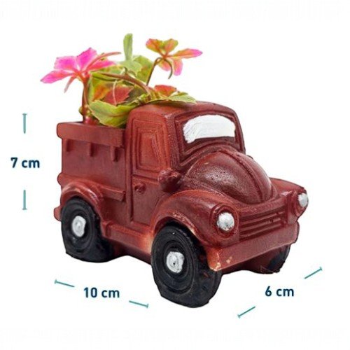 ACCESORIOS PARA ACUARIO  por mayor - Mascotas por mayor