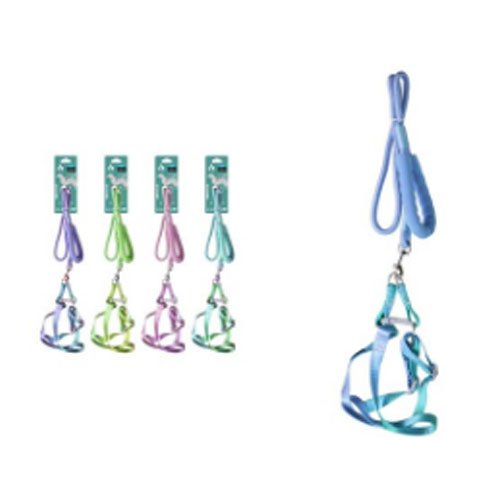 ARNES+CORREA 1,0 por mayor - Mascotas por mayor