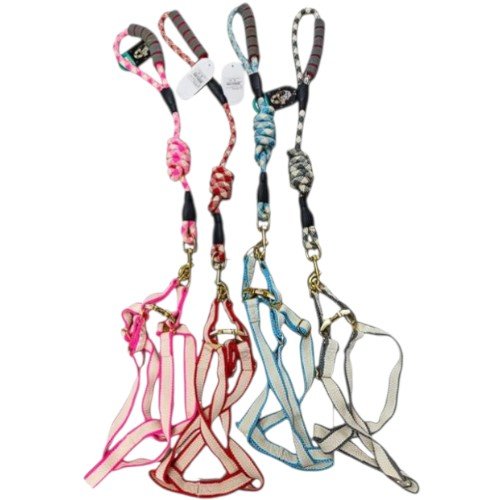 ARNES+CORREA 1.2 por mayor - Mascotas por mayor