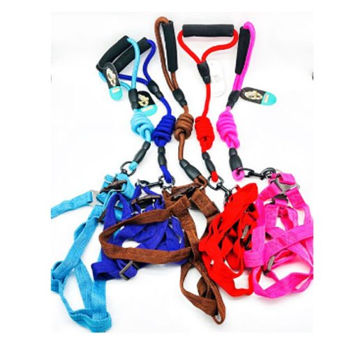 ARNES+CORREA 1.2 por mayor Mascotas por mayor