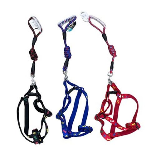 ARNES+CORREA 1,5 por mayor - Mascotas por mayor