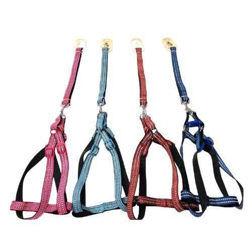 ARNES+CORREA 2.0 por mayor Mascotas por mayor