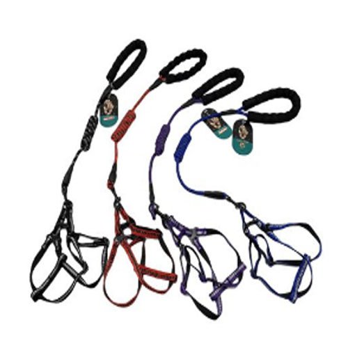 ARNES+CORREA 2.0 por mayor Mascotas por mayor