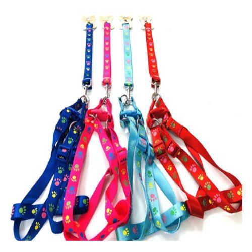 ARNES+CORREA 2.0 por mayor Mascotas por mayor