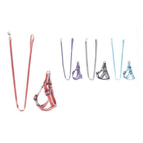 ARNES+CORREA 2.0 por mayor Mascotas por mayor