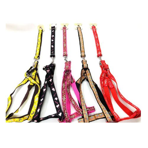 ARNES+CORREA 2,5 por mayor - Mascotas por mayor