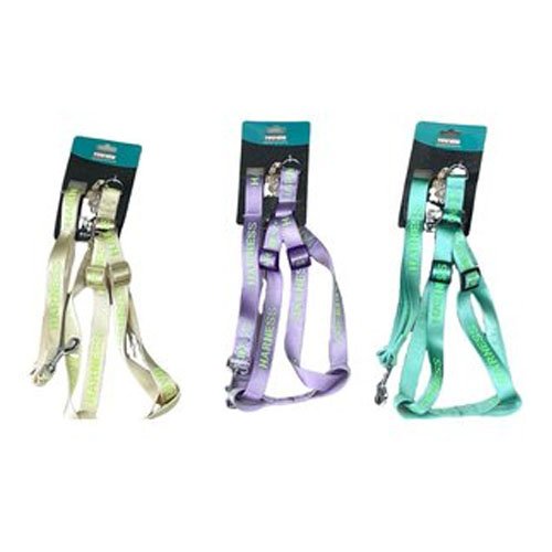 ARNES+CORREA 2,5 por mayor - Mascotas por mayor