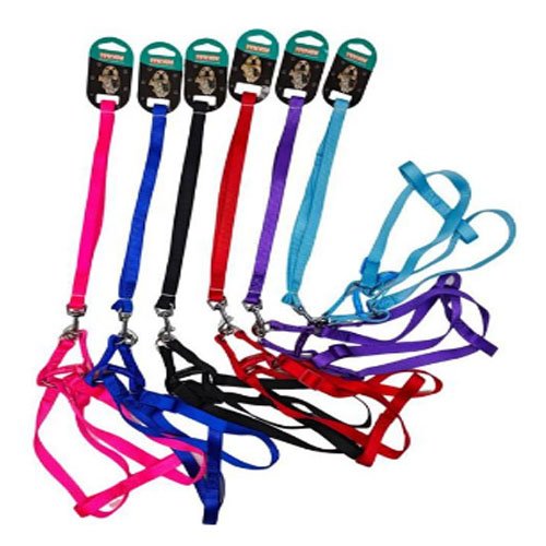 ARNES+CORREA 2.5 por mayor Mascotas por mayor