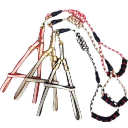 ARNES+CORREA  por mayor - Mascotas por mayor