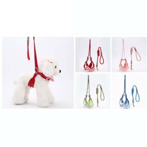 ARNES+CORREA por mayor - Mascotas por mayor