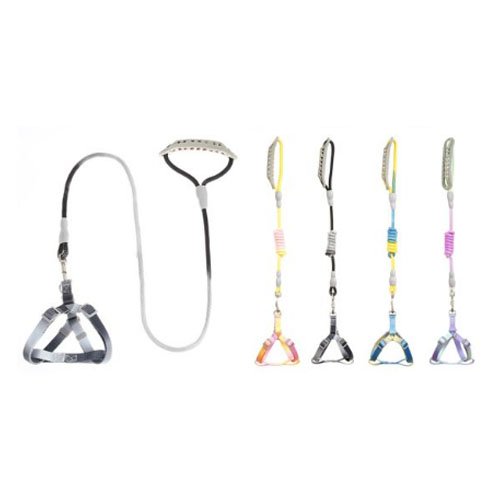 ARNES+CORREA  por mayor Mascotas por mayor