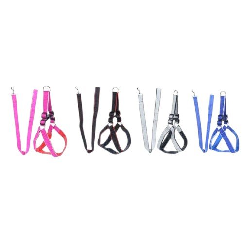 ARNES + CORREA por mayor Mascotas por mayor