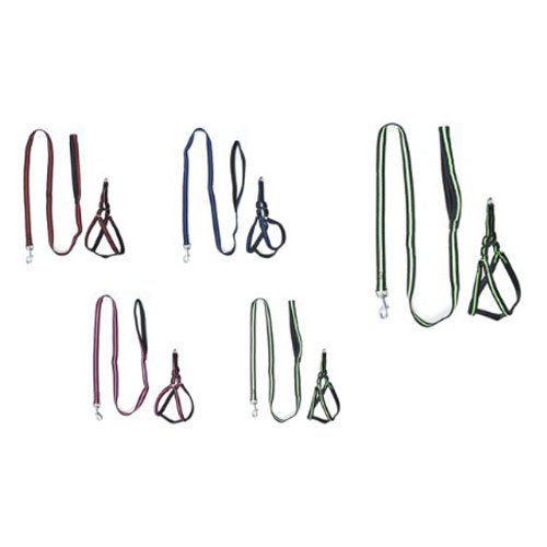 ARNES+CORREA por mayor Mascotas por mayor