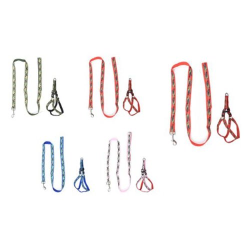 ARNES+CORREA por mayor Mascotas por mayor