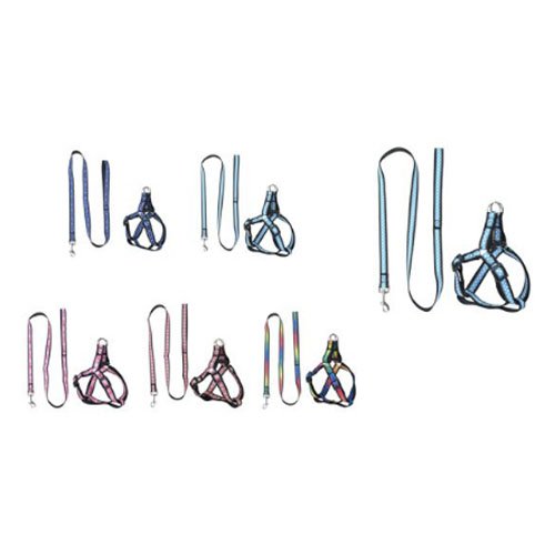 Arnés y Correa con Estampado de Transferencia y Reflectante 2.0cm por mayor Mascotas por mayor