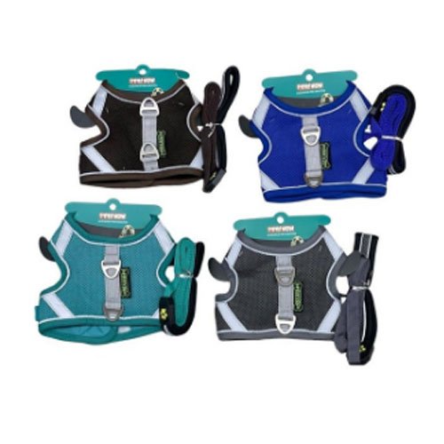 ARNES+CORREA ACOLCHADO por mayor - Mascotas por mayor