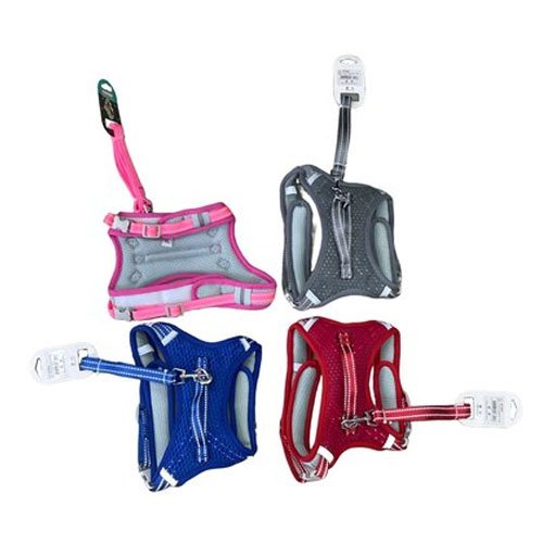 ARNES+CORREA BIG EYE por mayor - Mascotas por mayor