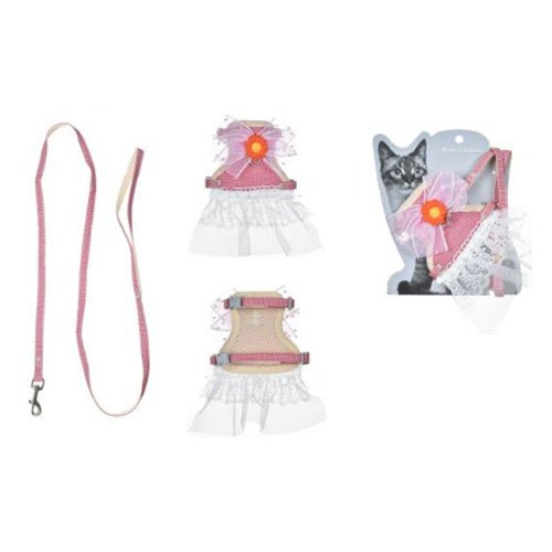 ARNES+CORREA PARA GATO por mayor Mascotas por mayor