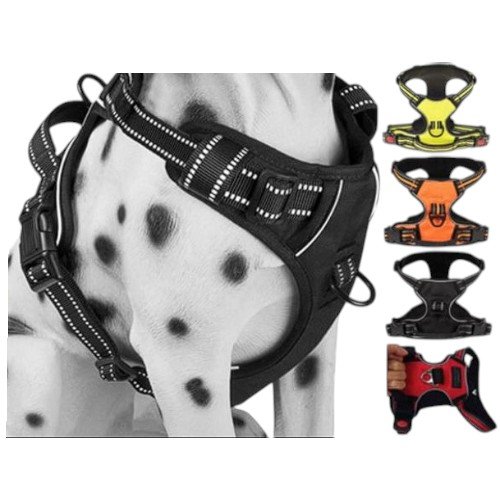 ARNES PARA MASCOTA por mayor - Mascotas por mayor