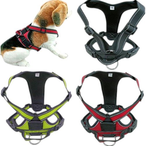 ARNES PARA MASCOTA por mayor - Mascotas por mayor