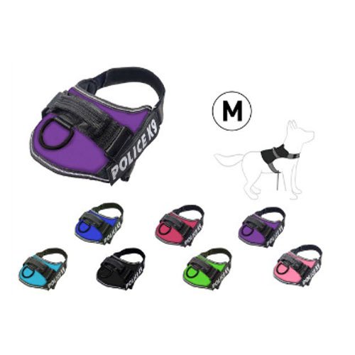 ARNES PARA PERRO por mayor - Mascotas por mayor