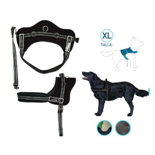 ARNES PARA PERRO por mayor Mascotas por mayor