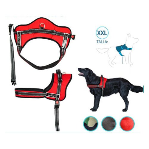 ARNES PARA PERRO por mayor Mascotas por mayor