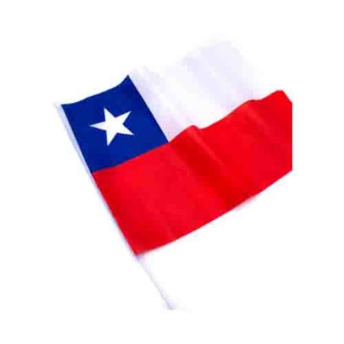 Chile Y Banderas De Texas Vector Ilustración De Stock, 58% OFF