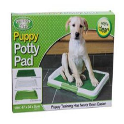BAÑO PARA PERRO PEQUEÑO por mayor - Mascotas por mayor