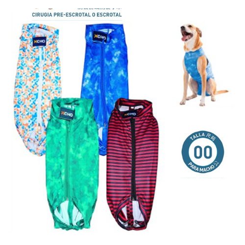 BODY POST QUIRURGICO PARA MACHO por mayor - Mascotas por mayor