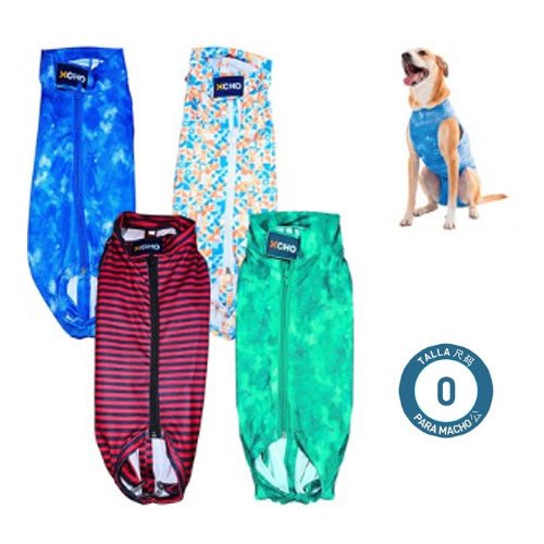 BODY POST QUIRURGICO PARA MACHO por mayor - Mascotas por mayor