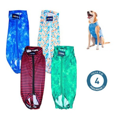 BODY POST QUIRURGICO PARA MACHO por mayor - Mascotas por mayor