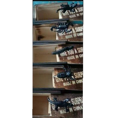 Caja de sorpresa de insectos por mayor - Jugueteria por mayor