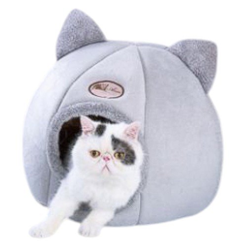 Cama semicerrada  por mayor - Mascotas por mayor