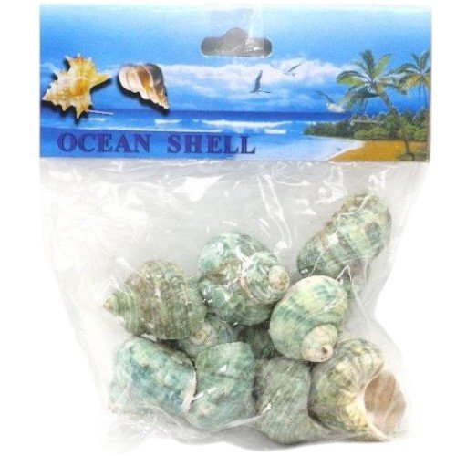 Caracoles de Mar Verdes Naturales para Decoración y Acuarios - Bolsa de 100g 100G por mayor en Chile