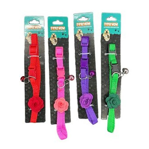 COLLAR INDIVIDUAL por mayor - Mascotas por mayor