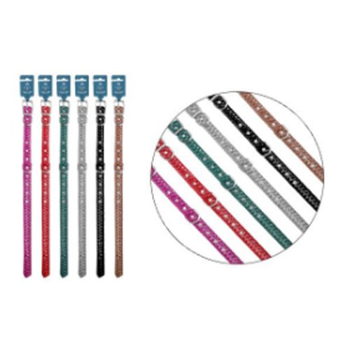 COLLAR PARA MASCOTAS 2,5 por mayor - Mascotas por mayor