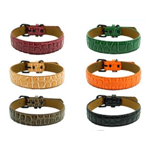 COLLAR PARA PERRO por mayor Mascotas por mayor