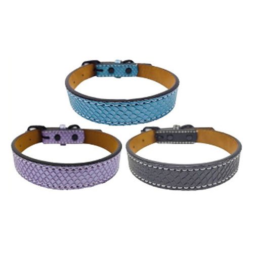 COLLAR PARA PERRO por mayor Mascotas por mayor