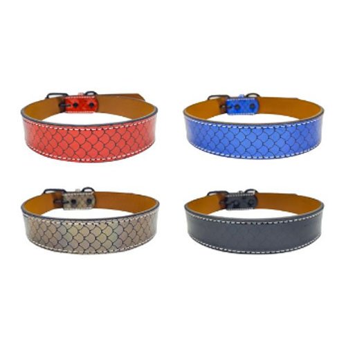 COLLAR PARA PERRO por mayor Mascotas por mayor