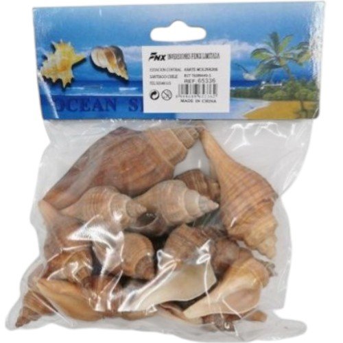 Conchas de Mar Tipo Tritón Naturales para Decoración  100G por mayor en Chile