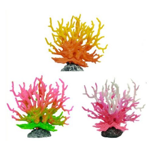 CORAL PARA ACUARIO por mayor - Mascotas por mayor