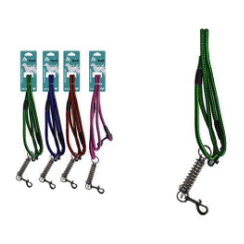 CORREA PARA MASCOTA CON RESORTE por mayor - Mascotas por mayor