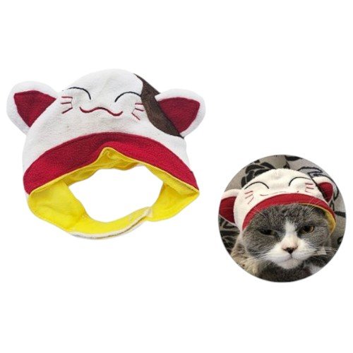 GORRO DE GATO por mayor Mascotas por mayor