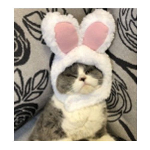 GORRO DE CONEJO PEQUEÑO por mayor Mascotas por mayor