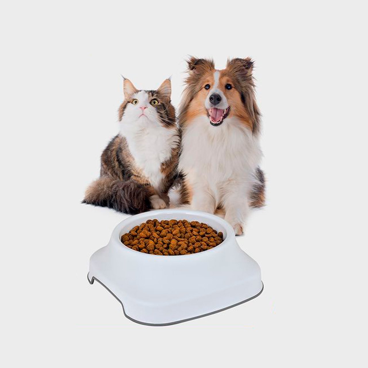 Contenedor mascota 1 litro pt-250 mayorista — imagen 3