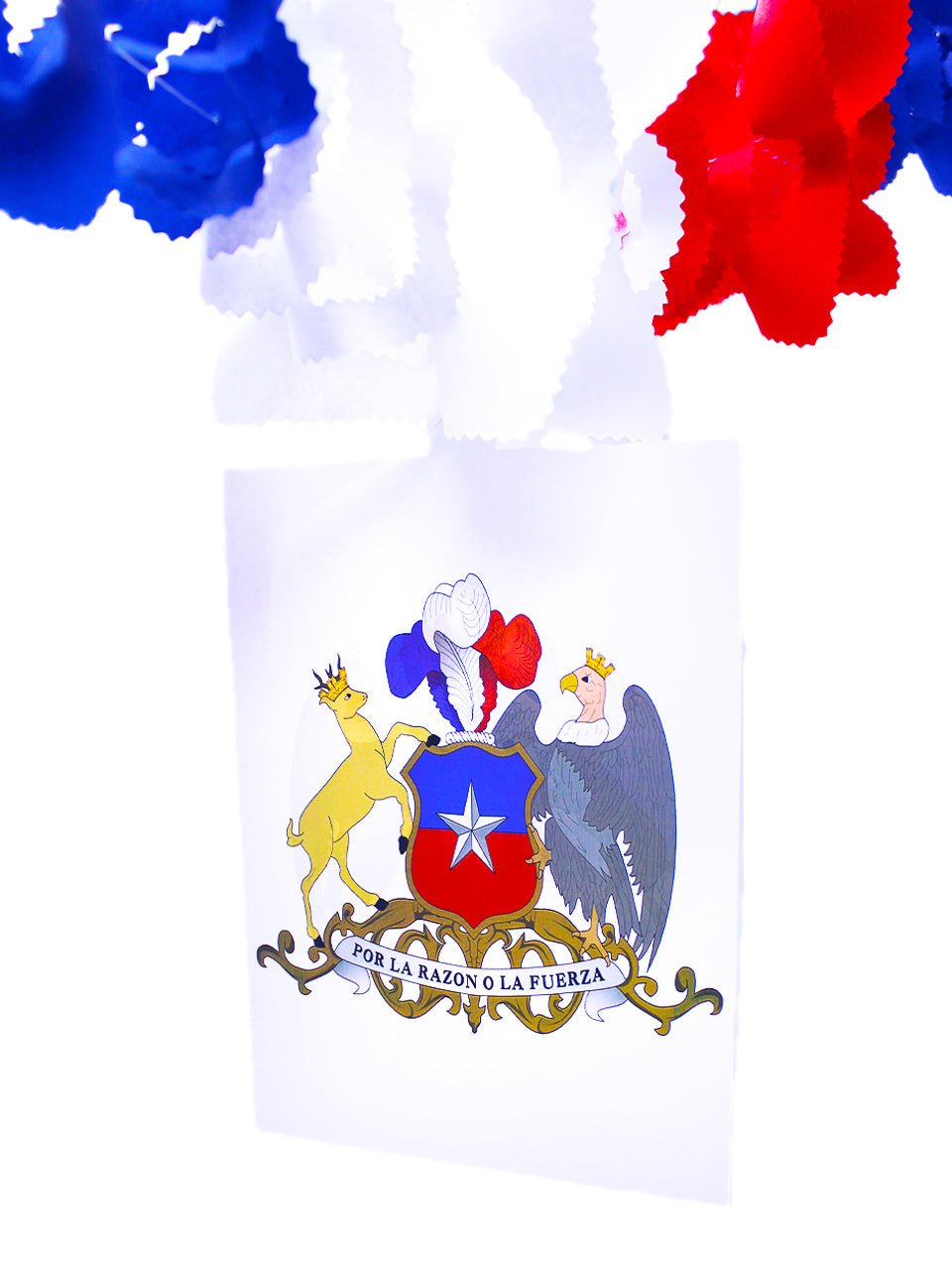 Guirnalda escudo chile mayorista — imagen 2