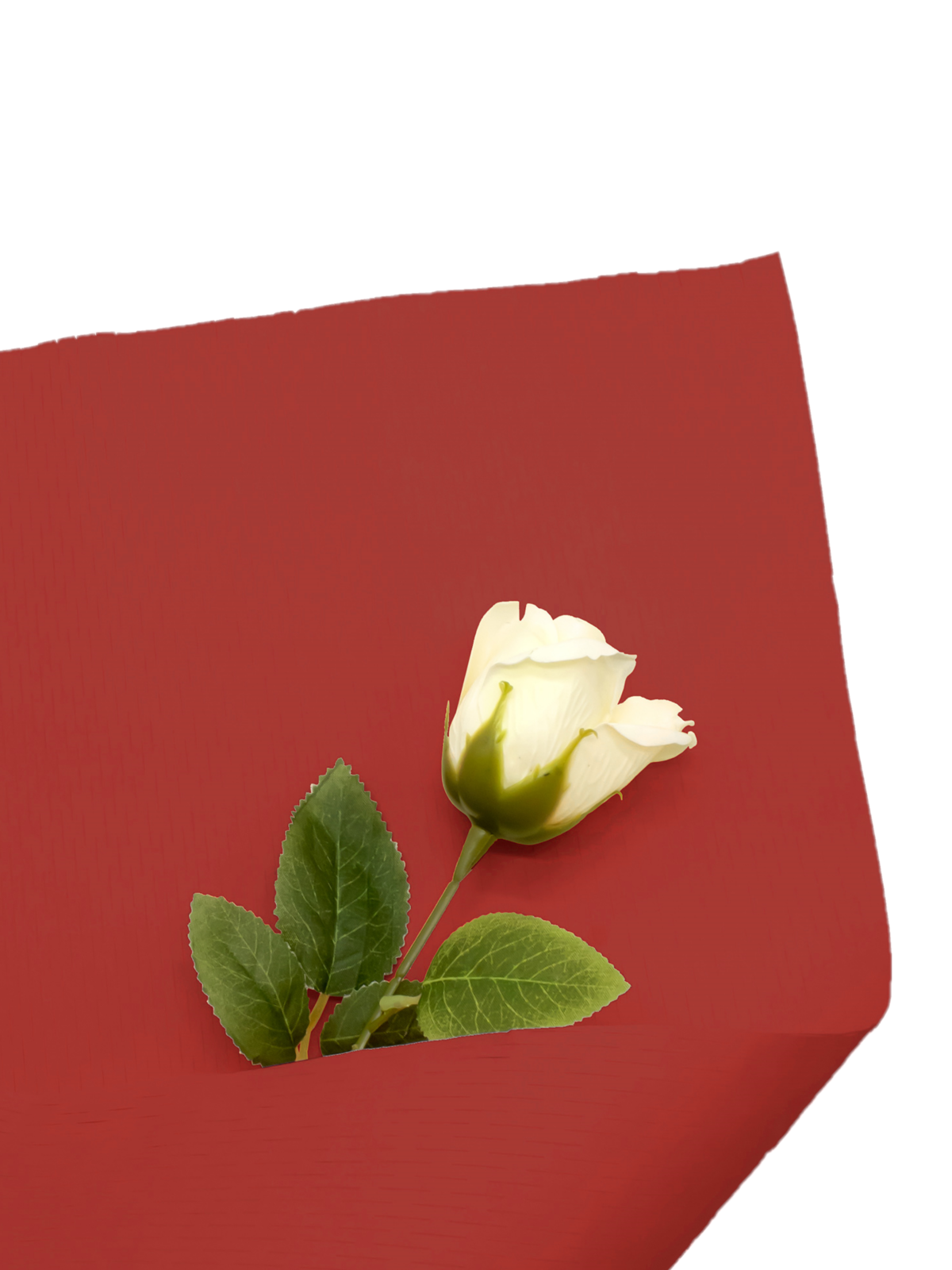Rollo bouquet papel 50 cm x 9 metros 1 unidad - red mayorista — imagen 22