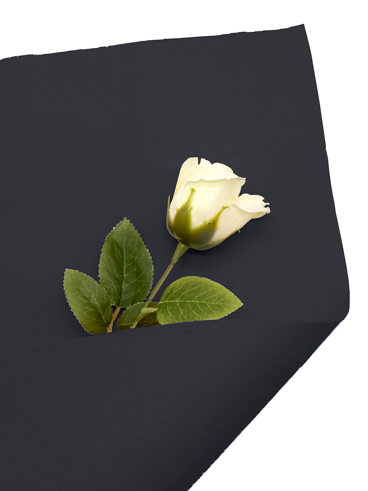 Rollo bouquet papel 50 cm x 9 metros 1 unidad - red mayorista — imagen 8