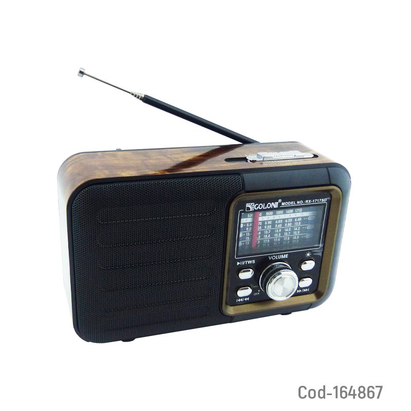 Radio Multibanda Solar Marca GOLON Modelo RX-1717SD Bluetooth Con Luz RGB, USB, TF Y FM Recargable. 19.5 cm x 11.8 cm x 7.8 cm por mayor en Chile
